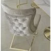 House Of Bling Furniture Boutique Dining Chairs Marbella Chair Camel Colour