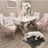 House Of Bling Furniture Boutique Louisa X Table With 4 Pink Knocker Chairs