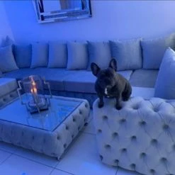 House Of Bling Furniture Boutique U Shape Ashton Sofa Sofas