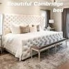 House Of Bling Furniture Boutique Cambridge Wing Bed