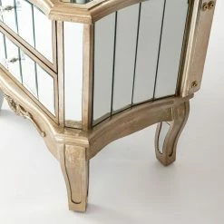 House Of Bling Furniture Boutique Annabelle Full Length Mirror - Champagne Silver Gilt Leaf